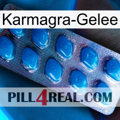 Karmagra Jelly viagra1